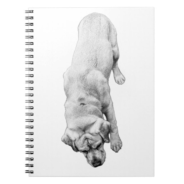 Caderno Espiral Reflexões na Tinta (Frente)