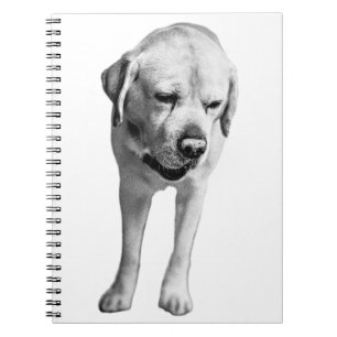 Caderno Espiral Reflexões na Tinta