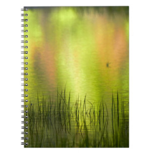 Caderno Espiral Reflexos no Lago Espelho Yosemite