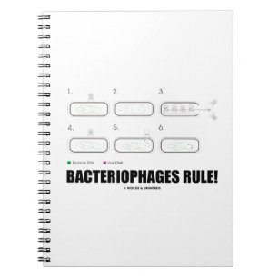 Caderno Espiral Regra dos bacteriófagos! (ADN do vírus das