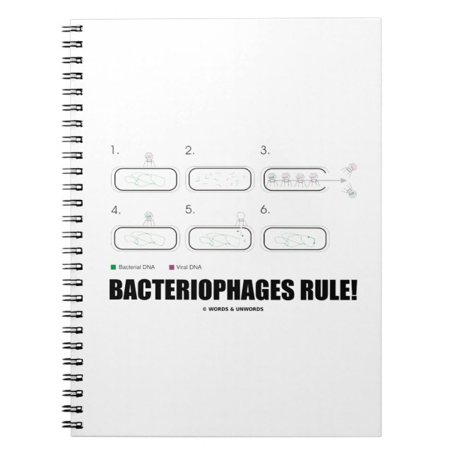 Caderno Espiral Regra dos Bacteriófagos! (ADN do Vírus das Bactéri (Frente)