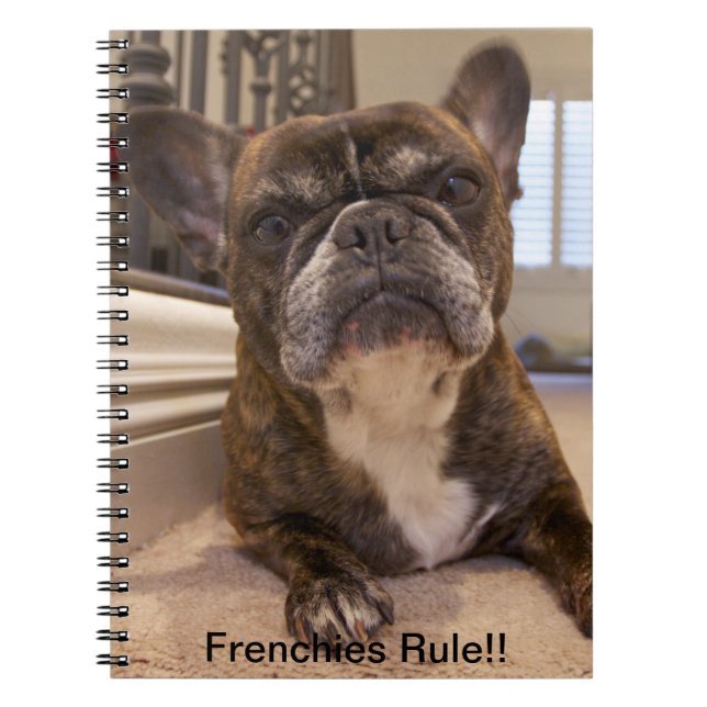 Caderno Espiral Regra dos Frenchies!! (Frente)