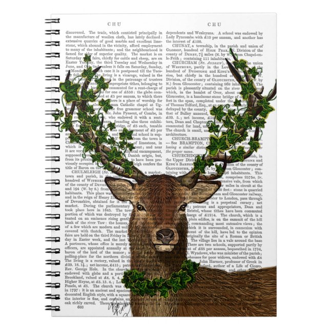 Caderno Espiral Rei Verde (Frente)