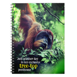 Caderno Espiral relaxamento de ovangotango na árvore