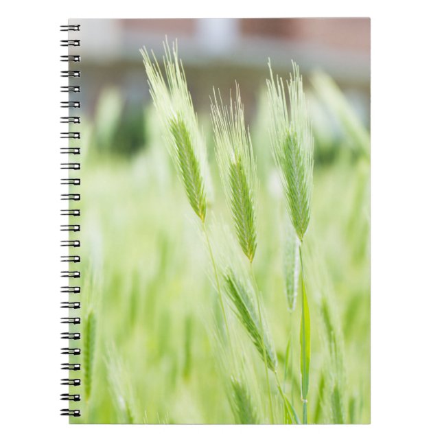Caderno Espiral relva verde (Frente)