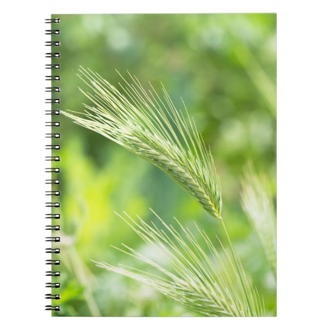 Caderno Espiral relva verde (Frente)