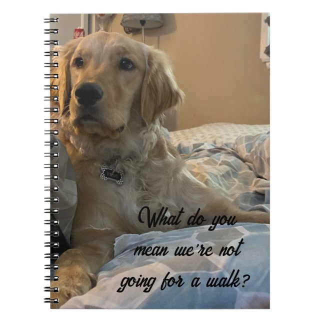 Caderno Espiral Remi o Ouro Retriever (Frente)