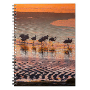 Caderno Espiral Reserva Nacional de Fauna Andina Eduardo Abaroa