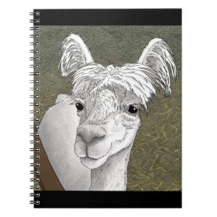Caderno Espiral Retrato Alpaca 2