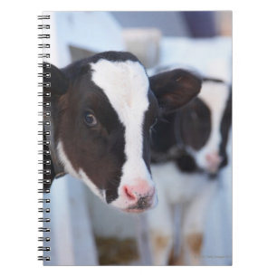 Caderno Espiral Retrato da vaca