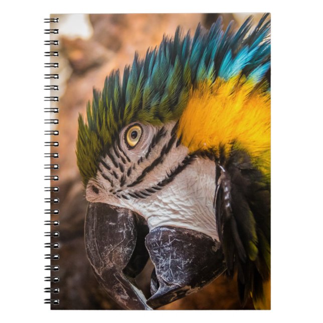 Caderno Espiral Retrato de arara azul e amarela (Frente)