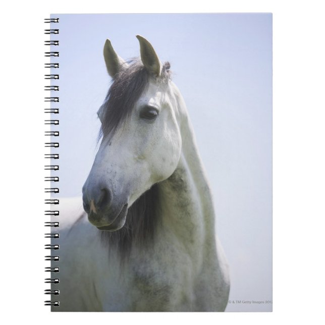 Caderno Espiral retrato de cavalo branco (Frente)