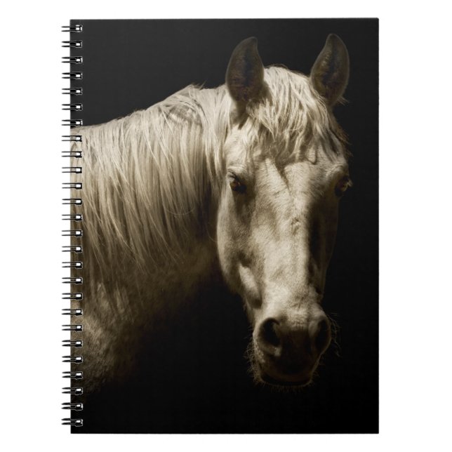 Caderno Espiral Retrato de Cavalo VI (Frente)