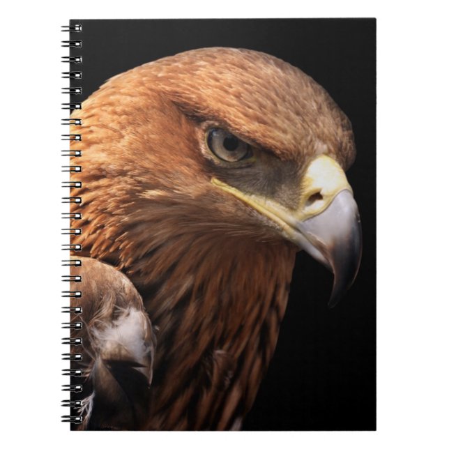 Caderno Espiral Retrato de Eagle isolado no preto (Frente)