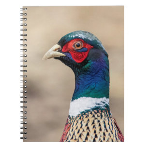 Caderno Espiral Retrato de faisão