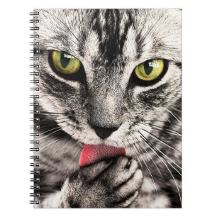 Caderno Espiral Retrato de Pet Animal Cat