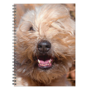 Caderno Espiral Retrato de Soft Coated Wheaten Terrier