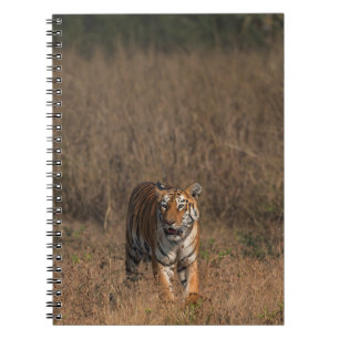 CADERNO ESPIRAL RETRATO DE TIGER
