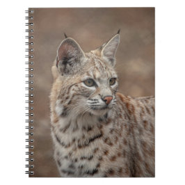 Caderno Espiral Retrato de um Bobcat