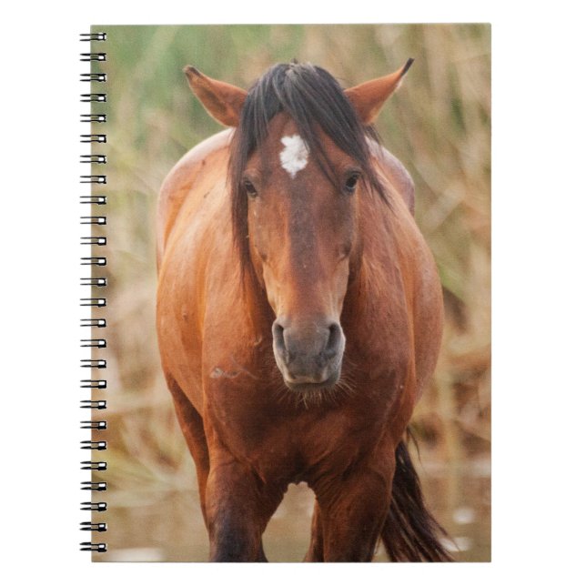 Caderno Espiral Retrato de um Mustang Selvagem (Frente)