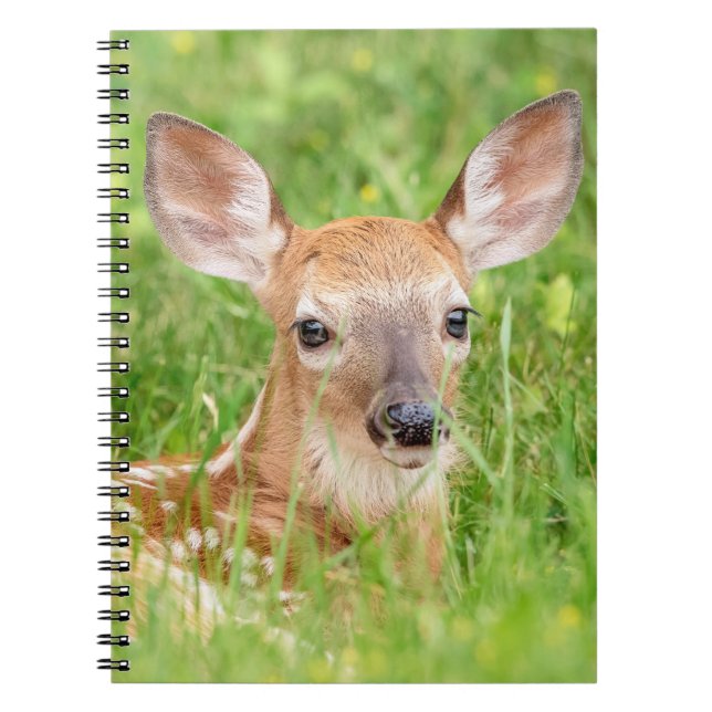 Caderno Espiral Retrato de uma Fawn (veado branco) (Frente)