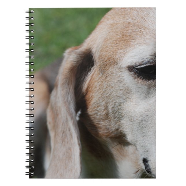 Caderno Espiral retrato do beagle (Frente)