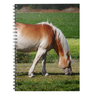 Caderno Espiral Retrato do cavalo