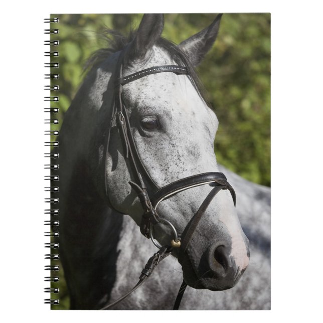 Caderno Espiral retrato do cavalo branco 2 (Frente)