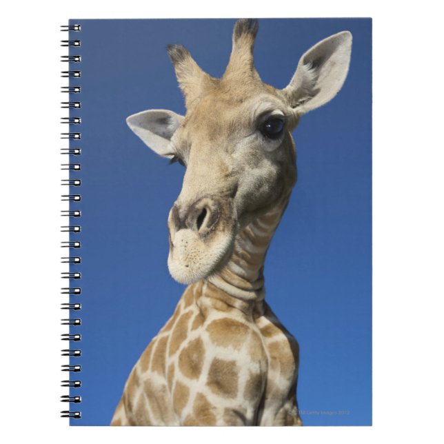 Caderno Espiral Retrato do girafa (Giraffa Camelopardalis) (Frente)