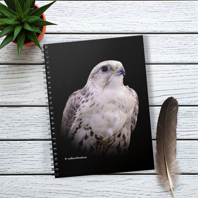 Caderno Espiral Retrato Vignetado de Falcão de Saker Inquisitivo (Vignette Profile of a Saker Falcon Journal Cover Photo)