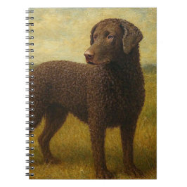 Caderno Espiral Retriever de Cabelo Ondulado