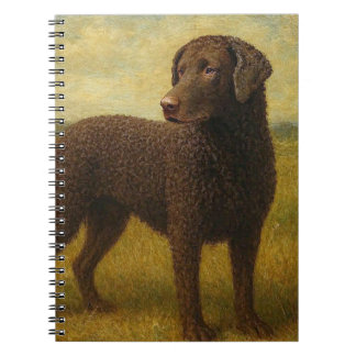 Caderno Espiral Retriever de Cabelo Ondulado