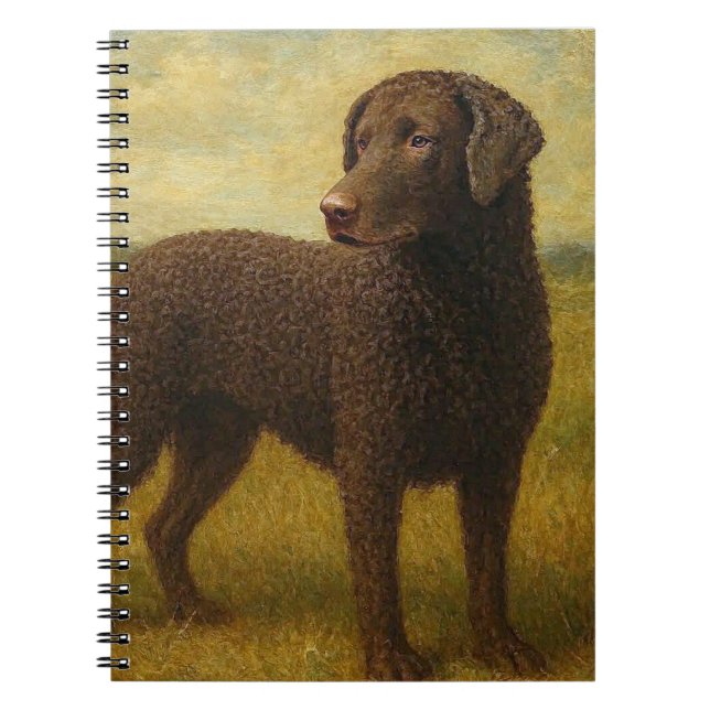 Caderno Espiral Retriever de Cabelo Ondulado (Frente)
