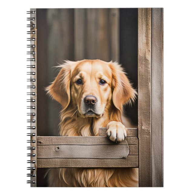Caderno Espiral Retriever De ouro Na Janela Barn (Frente)