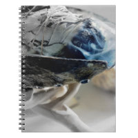 Revista Metafísica Esotérica de Salvia Queimada Fu
