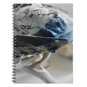Caderno Espiral Revista Metafísica Esotérica de Salvia Queimada Fu
