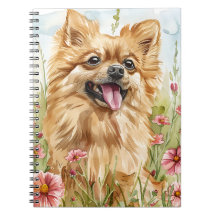 Revista Pomerânia – Notas da Mãe de Cachorro