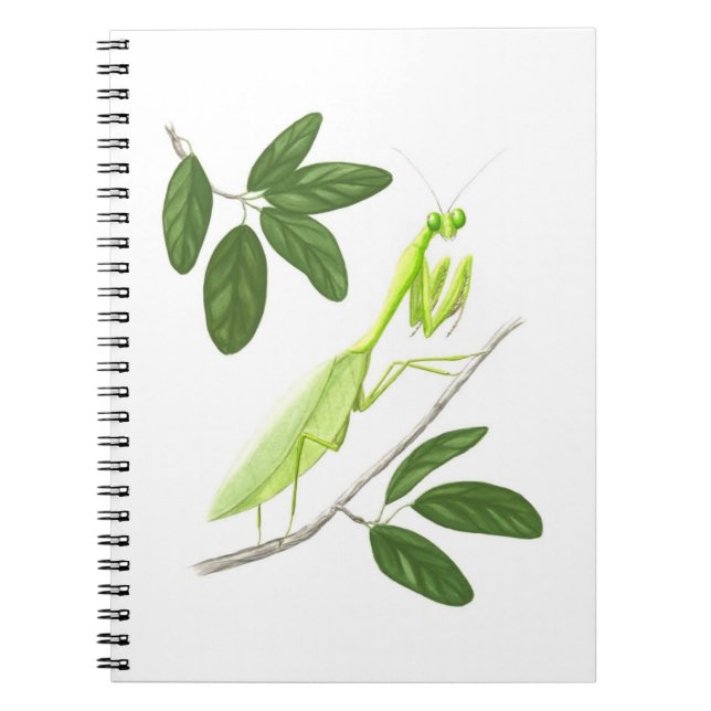 Caderno Espiral Rezando Mantis Notebook (Frente)