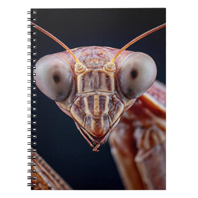 Caderno Espiral Rezando o notebook retrato Mantis (Frente)