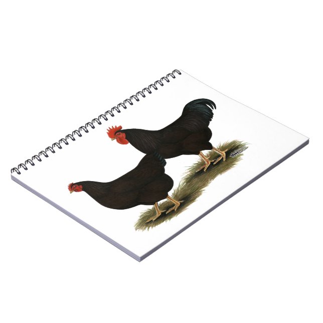 Caderno Espiral Rhode Island Red Bantams (Left Side)