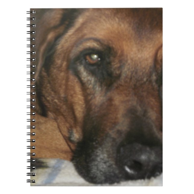 Caderno Espiral Rhodesian Ridgeback (Frente)