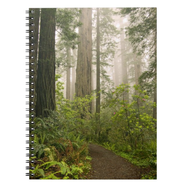 Caderno Espiral Rhododendron florescendo entre as Sequoias Vermelh (Frente)
