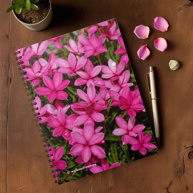 Caderno Espiral Rhodohipóxis / Estrela Vermelha / Posy Rosy (Rhodohypoxis Rosy Posy Journal Cover Photo)