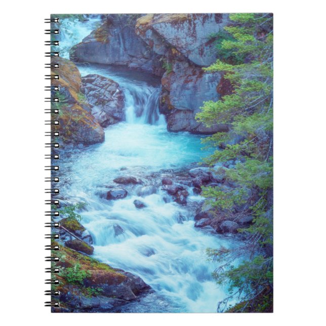 Caderno Espiral Ribeiro Hamma Hamma (Frente)