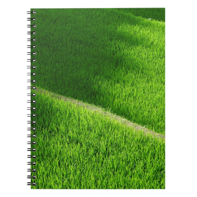 Caderno Espiral Rice Terraces Yamada's Rice Fields Japão (Frente)