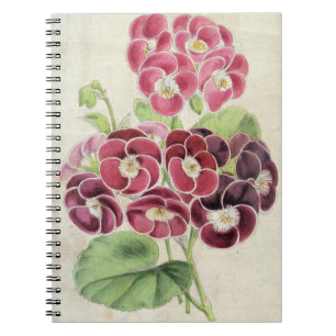 Caderno Espiral Rico Botânico Vintage Pelargonios