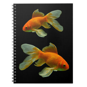 Caderno Espiral Rico Goldfish sobre o notebook preto