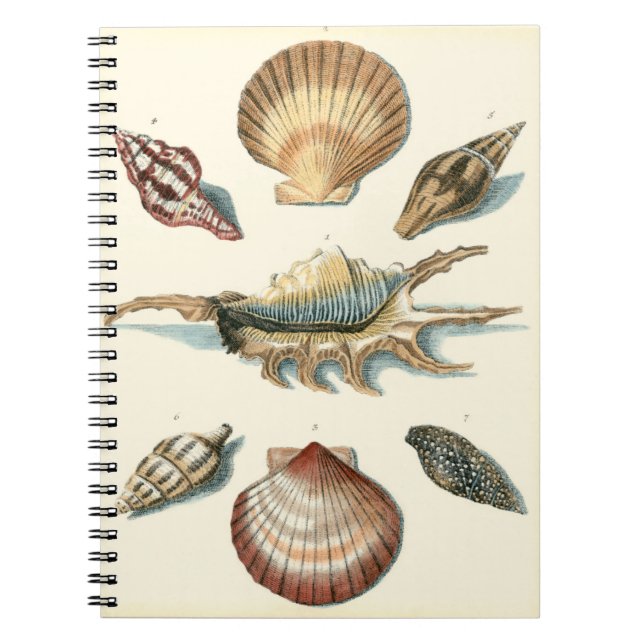 Caderno Espiral Rico Shell Beach (Frente)