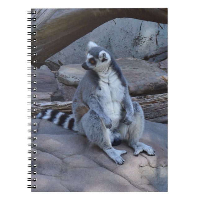 Caderno Espiral Ringtail Possum Foreman No Trabalho, (Frente)