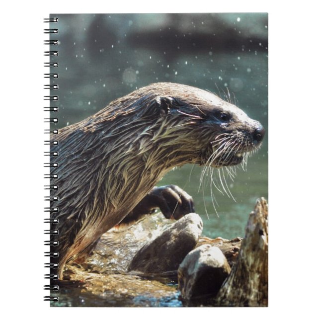 Caderno Espiral Rio Otter Animal-lover Foto da vida selvagem (Frente)
